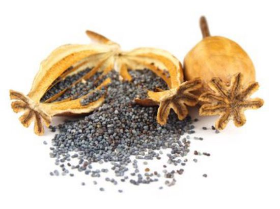 Picture of Seeds Poppy 1kg