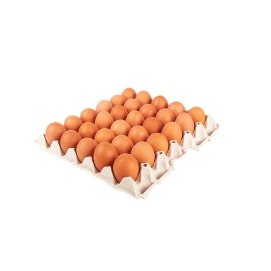 Picture of Eggs Tray (30)