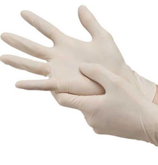 Picture of Gloves Latex  Powered Free Large [100]